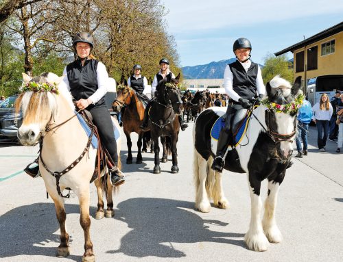 Georgi, ein Seelenpferd und ein seltsames „Pony“