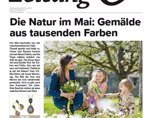 Ausgabe 4 – 2025