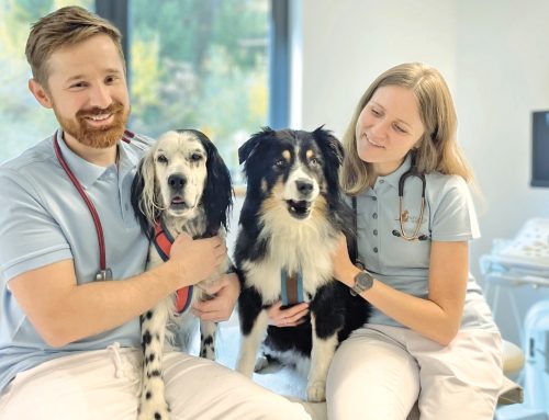 Zwei Herzen für Tiere