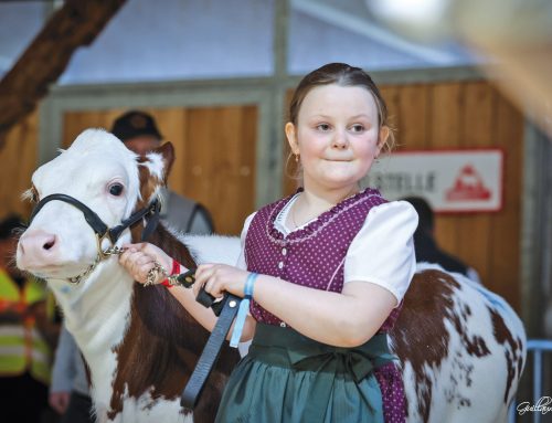 Wer wird „Miss Wilder Kaiser“?