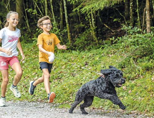 Auf den Hund gekommen?